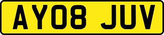AY08JUV