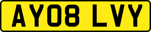 AY08LVY