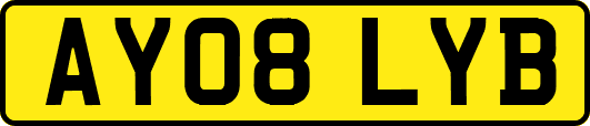 AY08LYB