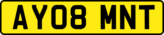 AY08MNT