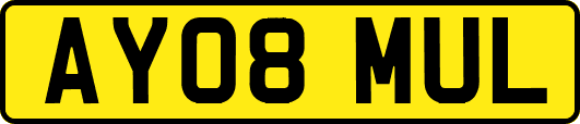 AY08MUL