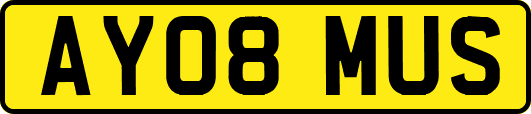 AY08MUS