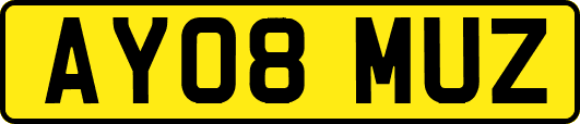 AY08MUZ