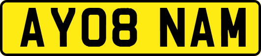 AY08NAM
