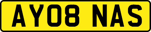 AY08NAS