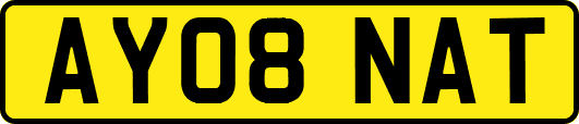 AY08NAT