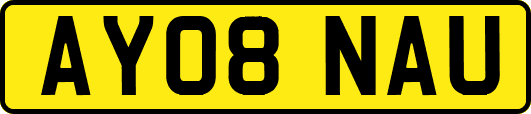 AY08NAU