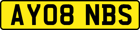 AY08NBS