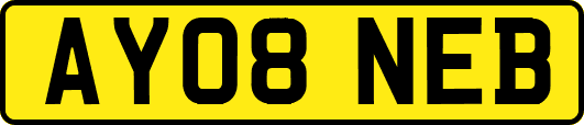AY08NEB