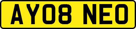 AY08NEO