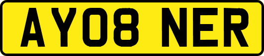 AY08NER