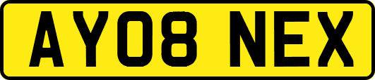 AY08NEX