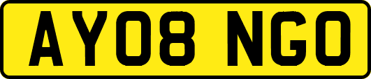 AY08NGO