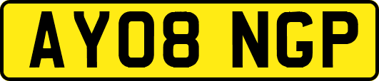 AY08NGP