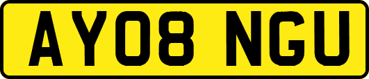 AY08NGU