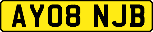 AY08NJB