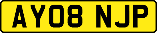 AY08NJP