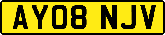 AY08NJV