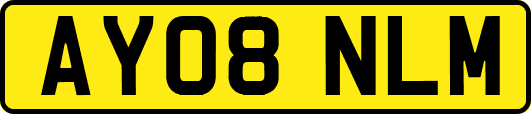AY08NLM
