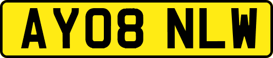 AY08NLW