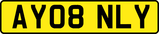 AY08NLY