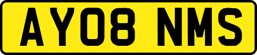 AY08NMS