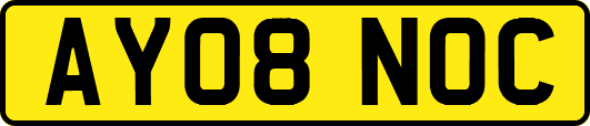 AY08NOC
