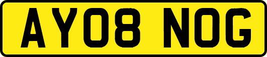 AY08NOG