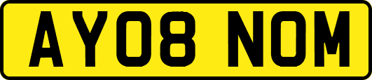 AY08NOM