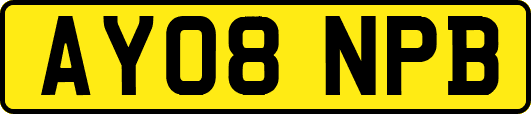 AY08NPB