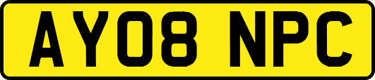 AY08NPC