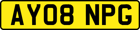 AY08NPG