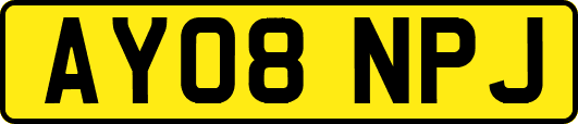 AY08NPJ