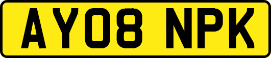 AY08NPK