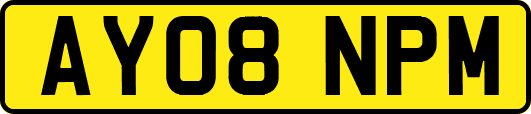 AY08NPM