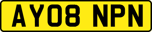 AY08NPN