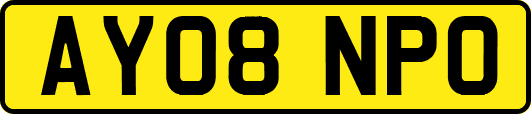 AY08NPO