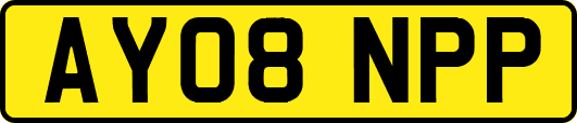 AY08NPP