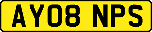 AY08NPS