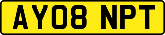 AY08NPT