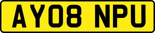 AY08NPU