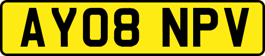 AY08NPV