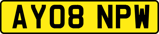 AY08NPW