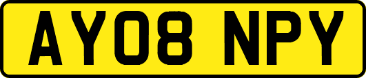 AY08NPY