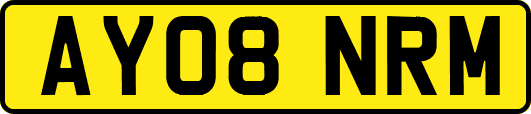 AY08NRM