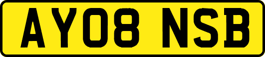 AY08NSB