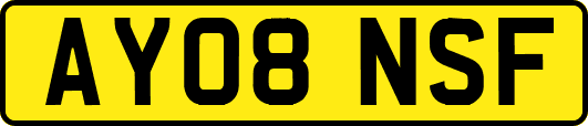 AY08NSF