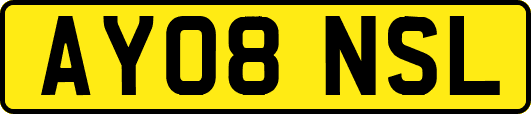 AY08NSL