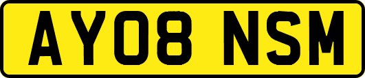 AY08NSM