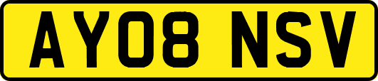 AY08NSV